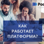 Pocket Option: скачать платформу для трейдинга и азартных игр